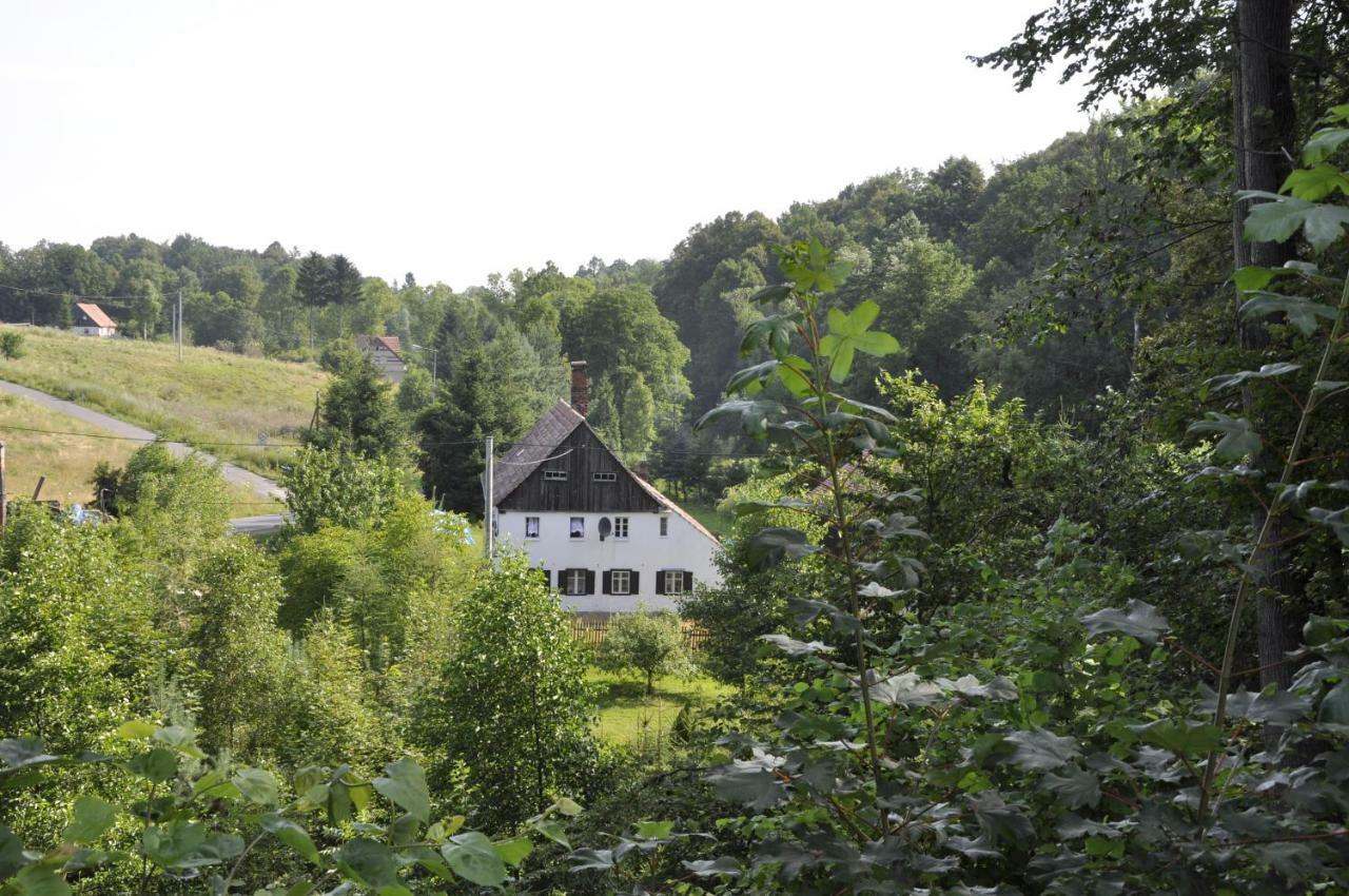 Lusatia Farm Leśna Exterior foto
